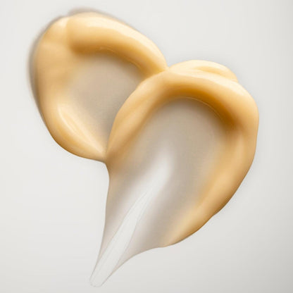 The Signature Six Bundle